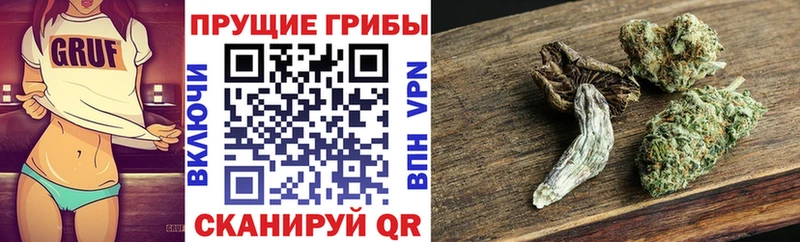 Галлюциногенные грибы GOLDEN TEACHER  KRAKEN ТОР  Балей 